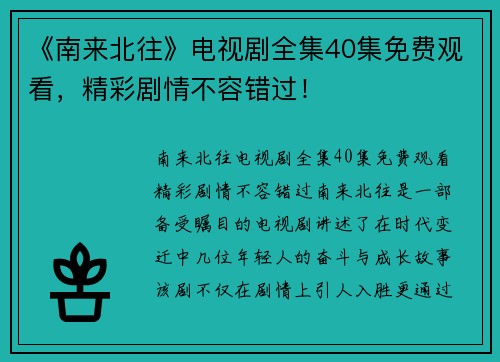 《南来北往》电视剧全集40集免费观看，精彩剧情不容错过！